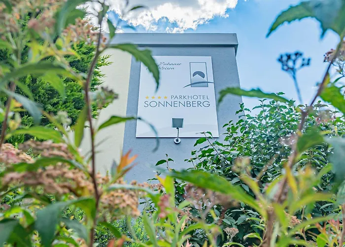 Hotel Parkhotel Sonnenberg 4*